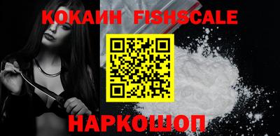 гидра Новодвинск