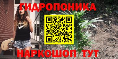 а пвп мука Новозыбков